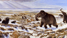 Die Rückkehr von Mammut und Säbelzahntiger