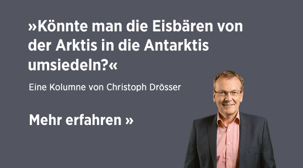 Stimmt's – Könnte man die Eisbären von der Arktis in die Antarktis umsiedeln?