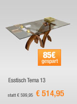 Esstisch Tema 13