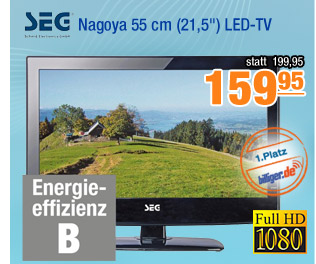 SEG Nagoya 55cm
                                            (21,5") LED-TV