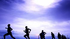 Barfuß über Stock und Stein