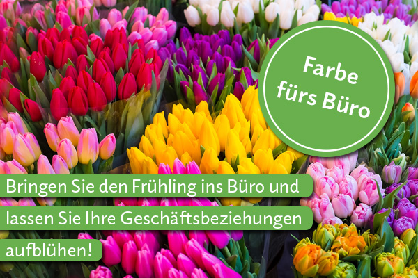 Bringen Sie den Frühling ins Büro!