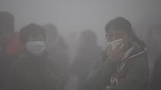Pekings Smog wird zum Geschäftsmodell