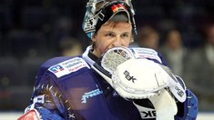 Eishockey: Acht Deutsche hoffen auf NHL-Engagement