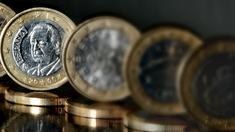 Der Euro im Faktencheck