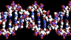 Mit DNA auf Jagd nach Dunkler Materie
