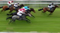 Ovambo Queen gewinnt Hansa-Preis