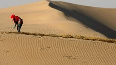 Katars Wüste soll erblühen