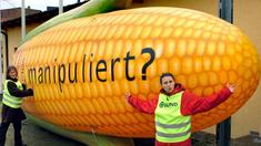 Unternehmen kontern Aktivisten