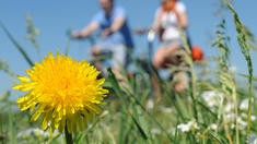 Viele malochen auch am Wochenende