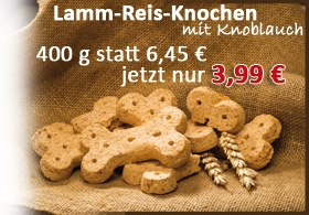 zum Produkt...