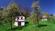 Käufer zieht es in Weinregionen Käufer zieht es in Weinregionen