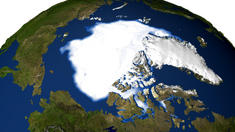 Nordpol-Eis so stark geschrumpft wie noch nie