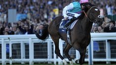 Wunder-Galopper Frankel siegt erneut