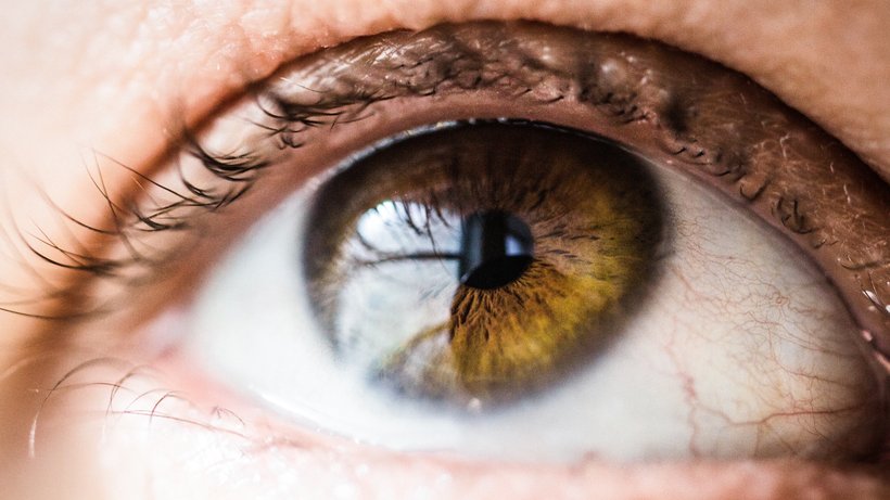  Farben, Kontraste, weite Sicht: All das schwindet bei Retinitis-Pigmentosa-Betroffenen schleichend. © Vanessa Bumbeers/Unsplash.com 