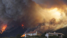 36000 Menschen vor Bränden in Colorado auf der Flucht
