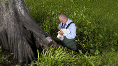 EZB treibt Sparer in die Verzweiflung