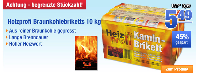 Holzprofi Braunkohlebriketts 10 kg 