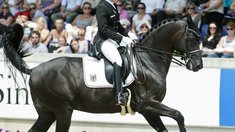 Sprehe und Desperados auch im Special vorne