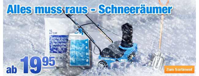Schneer&auml;umer