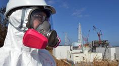 Extrem hohe Strahlung in Fukushima  gemessen 