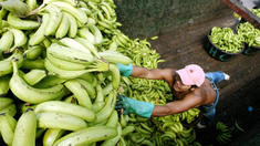 Die Cloud dringt in die Ecken vor