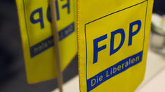 FDP will Steuerbremse im Grundgesetz verankern