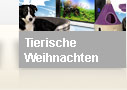Tierische Weihnachten - seit 22.12.2011 