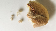 Werden unsere Nahrungsmittel knapp?