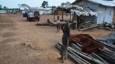 Blauhelmsoldaten geraten in tödlichen Hinterhalt Blauhelmsoldaten geraten in tödlichen Hinterhalt