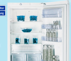 Indesit BAAAN 13 K&uuml;hl- und Gefrierger&auml;t