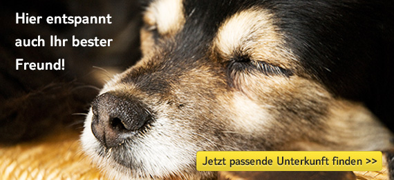 Urlaub mit Hund - hier entspannt auch Ihr bester Freund >>