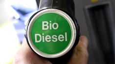 Biosprit schadet der Ozonschicht