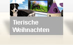 Tierische Weihnachten - seit 22.12.2011 