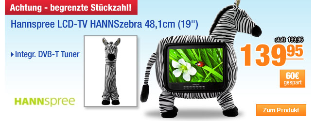 Hannspree LCD-TV HANNSzebra 48,1cm (19") 