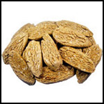 Cantuccini -fresh- Cantuccini -fresh-