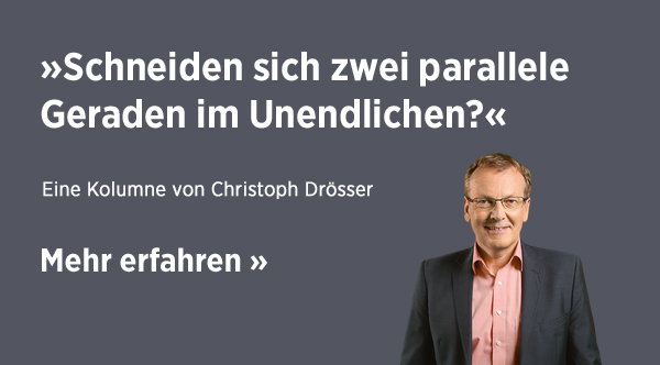 Stimmt's – Schneiden sich zwei parallele Geraden im Unendlichen?