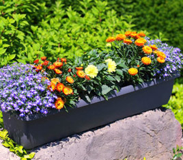 Geli Kunststoff-Blumenkasten Aqua Andalucia