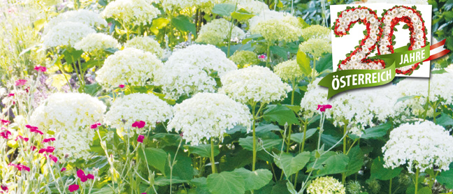 Dehner Garten-Center