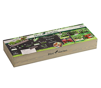 Mini Garten Kruter