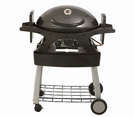 Dehner Gasgrill Skye 300 mit Stand, silber/grau