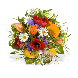 $image1AltText
