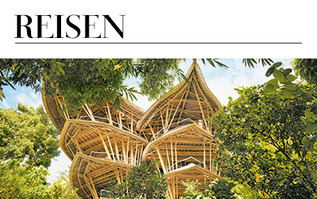 Z- ZEIT ZUM ENTDECKEN