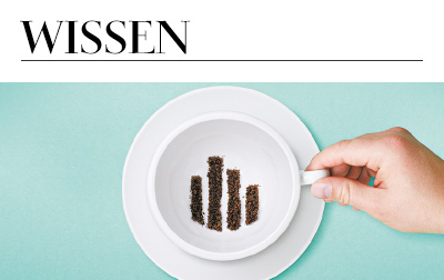WISSEN