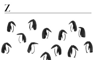 Z - ZEIT ZUM ENTDECKEN