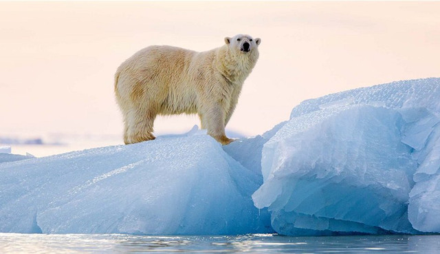 Spitzbergen
