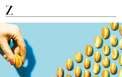 Z - ZEIT ZUM ENTDECKEN