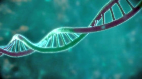 So sieht das Erbgut eines Menschen aus: Die DNA – ein Strang aus Desoxyribonukleinsäure – liegt in jeder Zelle vor. Im Normalzustand als Doppelhelix. © obs/ZDFinfo/Authentic