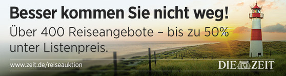 reise auktion