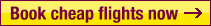 Book Lastminute airline tickets now 